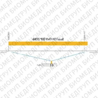 ДЛЯ КЛИЕНТОВ из США. SureFISH ChrY CEP 273 КБ P20 RD. CEP Y, Номер копии, 20 тестов, Cy3, Концентрат, Ручное использование