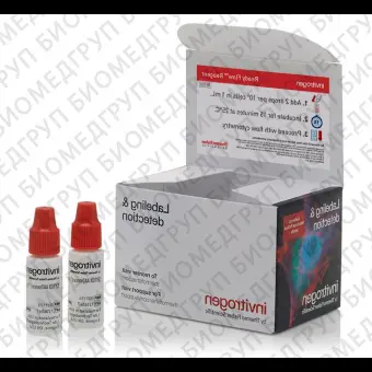 Набор SYTOX AADvanced Ready Flow Reagent, для проточной цитометрии, 2х2,5 мл, 120 тестов, Thermo FS, R37173