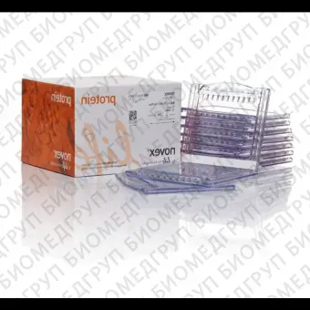 Гель полиакриламидный Bolt BisTris Mini Protein Gel, 8 х 8 см, 17 лунок, 4  12, Thermo FS, NW04127BOX, 10 шт./уп.