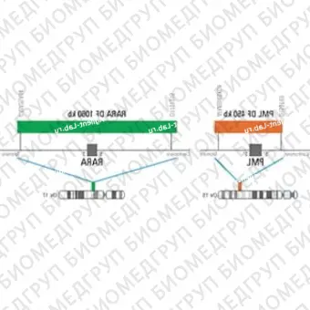 ДЛЯ КЛИЕНТОВ из США. SureFISH PML RARA DF. PMLRARA, Dual Fusion, 20 тестов, Cy3FITC, концентрат, ручное использование