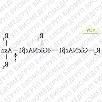 Nгликаназа AdvanceBio PNGase F, без ЭДТА, 2,5 ЕД/мл ранее ProZyme