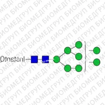 Nгликан AdvanceBio InstantQ Man8/M8 олигоманноза 8 ранее ProZyme. Nгликан, помеченный InstantQ, для использования в качестве качественного стандарта с системой анализа гликанов GlyQ. Альтернативные названия гликанов: Man8, M8