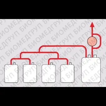 Система фильтрации для удаления лейкоцитов из эритроцитов после разделения крови на компоненты BPF4: BPF4NEOL