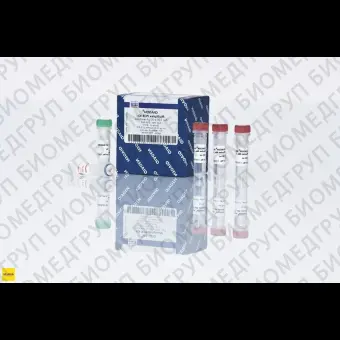 Мастермикс для мультиплексной ПЦР Multiplex PCR Kit, Qiagen, 206145, 1000 реакций