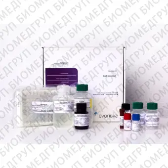 Набор реагентов SVANOVIR TGEV/PRCVAb для дифференцировки антител к вирусу трансмиссивного гастроэнтерита и респираторному коронавирусу свиней методом ИФА2 планшета