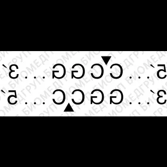 Эндонуклеаза рестрикции HpaII, 10 000 ед/мл, New England Biolabs, R0171 L, 10 000 единиц