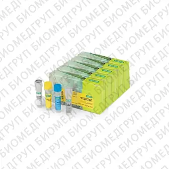 Набор iScript gDNA Clear cDNA Synthesis Kit для синтеза кДНК100 реакций