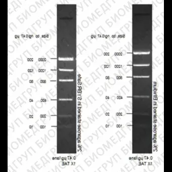 Маркер длин ДНК Low DNA Mass от 100 п.н. до 2000 п.н., 0,1175 мкг/мкл, Thermo FS, 10068013