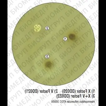 Диски с гемином для дифференциации видов Haemophilus Xфактор 50 дисков ФСЗ ФСЗ 2009/03634