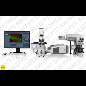 Микроскоп конфокальный LSM 780, лазерный сканирующий, Zeiss, LSM780