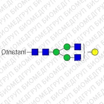 Стандарт Nгликанов AdvanceBio InstantQ G1/A2G1 ранее ProZyme. Nгликан асиало, моногалактозилированный двухантенный комплекс Nгликан, меченный InstantQ, для использования в качестве качественного стандарта с системой анализа гликанов GlyQ. Альтерн