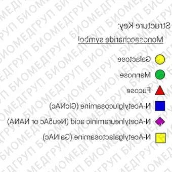 Nгликан AdvanceBio InstantQ G2F/FA2G2 асиало, галактозилированный биантеннарный комплекс Nгликан, ядро замещено фукозой ранее ProZyme. Nгликан, помеченный InstantQ, для использования в качестве качественного стандарта с системой анализа гликанов G