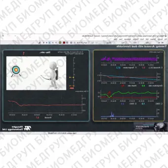 Программное обеспечение для электрофизиологических исследований SA8020