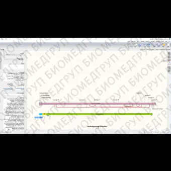 Программное обеспечение для микробиологии SnapGene