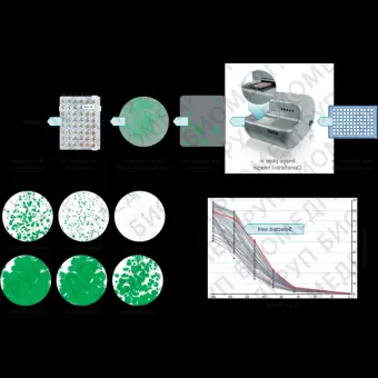 Система многопараметрического анализа клеток CloneSelect Imager, Molecular Devices, CloneSelectImager