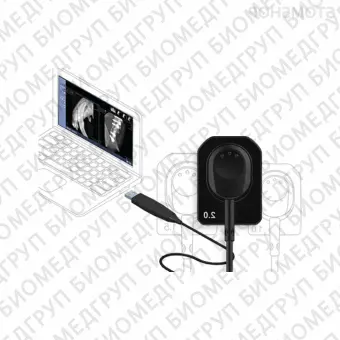 EzSensor Vet 1.0  цифровой радиовизиограф для ветеринарии