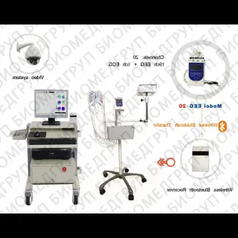 ЭЭГсистема 19 каналов TypeC Nation7128W