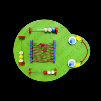 Тактильноразвивающая панель Гусеница Жужа