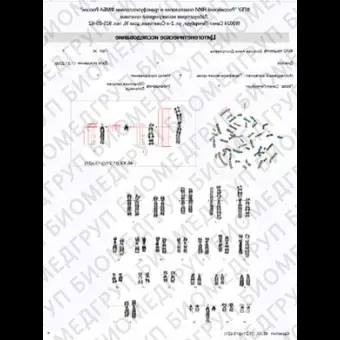 ПО для автоматического FISHанализа, АргусFISH, АргусСофт, FISH 2.1