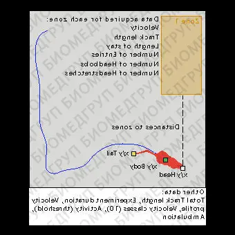 Программное обеспечение для исследований на животных PermaTrack