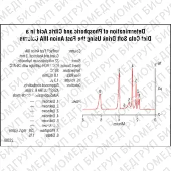 Dionex IonPac Fast Anion IIIA Analytical  Guard Columns