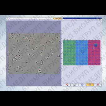 Программное обеспечение для медикобиологических наук cellSens