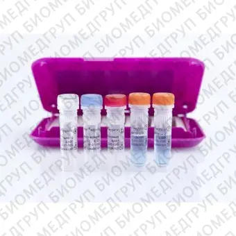 Набор реагентов virotype ASFV 2.0 для обнаружения вируса АЧС методом RealTime PCR96 реакций