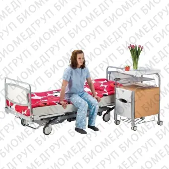 Кровать для больниц 100000360