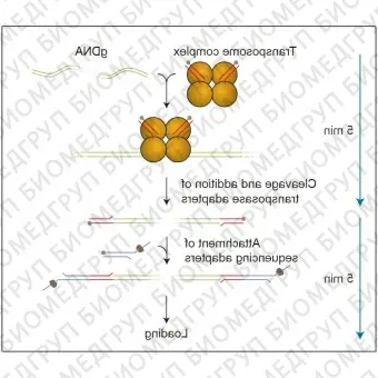 Набор для секвенирования ДНК в полевых условиях, Field Sequencing Kit, Oxford Nanopore Technologies, SQKLRK001