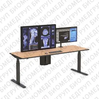 Информационная рабочая станция для рентгенологии Single Tier Workstation 84  Home Use