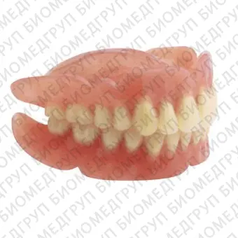 Стоматологический протез для передних зубов Elite, Premium, Economy