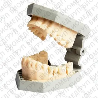 Asiga PICO HD  компактный профессиональный 3D принтер для стоматологов
