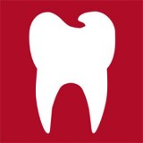 Программное обеспечение для обработки снимков зубов OpticalRevEng Dental 3.0