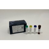 Набор для тестов на инфекционные заболевания Attoplex® Norovirus