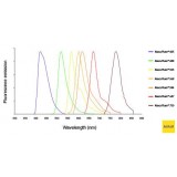 Антитела IgG H&L козы к антителам кролика, поликлональные, меченные Alexa Fluor 647, Abcam, ab181474-50мкл_промо, 50 мкл