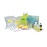 Набор Aurum Total RNA Fatty and Fibrous Tissue Kit, Bio-Rad, 7326830, 50 выделений