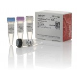 ДНК-полимераза AccuPrime GC-Rich DNA Polymerase, Thermo FS, 12337024, 1000 реакций