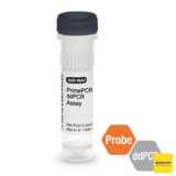 Набор BRCA2 CNV PrimePCR ddPCR, 200 реакций, Bio-Rad, 1863305