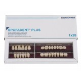 Spofadent Plus (С3) 53-53-1/74