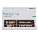 Spofadent Plus (С3) 1/48-0/6-1/72