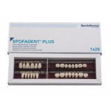 Spofadent Plus (А2) 1/21-0/2-1/60