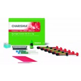 Микрогибридный материал Charisma Classic Syr Combi Kit (6 х 4г+G2B)