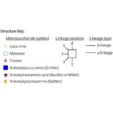 Стандарт N-гликанов AdvanceBio InstantAB G2 / A2G2 (ранее ProZyme)