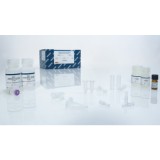 Набор QIAamp DSP DNA Blood Mini Kit для выделения ДНК из крови (с РУ)(50 реакций)