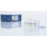 Набор MinElute PCR Purification Kit для очистки ПЦР-продуктов в малых объемах элюции(250 реакций)
