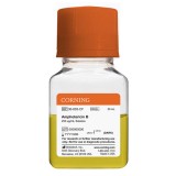 Раствор антибиотика амфотерицин B (250 мкг/мл)(50 мл)