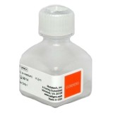 Раствор селективного антибиотика G418, 50 мг/мл(20 мл)