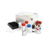 Панель 7-Plex Early Apoptosis Magnetic Bead Kit для одновременного определения маркеров раннего апоптоза человека(96 тестов)