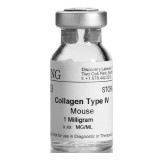 Коллаген IV мыши CORNING®(1 мг)