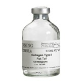 Коллаген I крысы BIOCOAT™ CORNING®(10х100 мг)